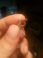 1437923891167.webp