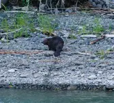 DSC_0004.webp DSC_0004.webp