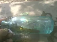 150726_013.webp