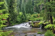 00444#22.webp