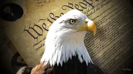 eagle-of-freedom-31539[1].webp