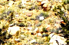 DSCF1596-Signs-B2.webp