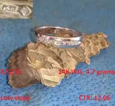 DocBeav 2015 Gold Ring #10.webp