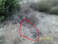 DSCF0129.webp