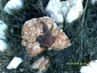 DSCF0120.webp