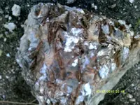 DSCF0118.webp