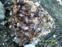DSCF0117.webp