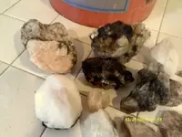 DSCF0131.webp