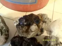 DSCF0132.webp