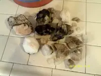 DSCF0134.webp