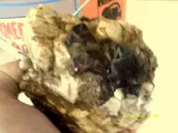 DSCF0137.webp