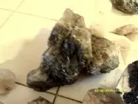 DSCF0138.webp