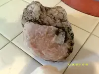 DSCF0139.webp