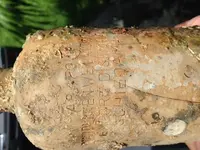 rracotta bottle.webp