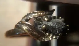 close up of ring.webp