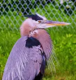 014.webp 014.webp