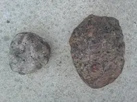 20150729_205303.webp