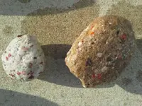 20150731_081000.webp