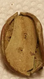 20150704_173746[1]_edited.webp