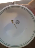 1 gram nugget.webp
