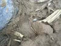 S4010005.webp