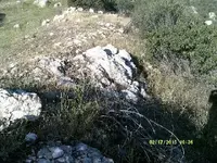 DSCF0085.webp