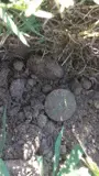 IMG_2802.webp IMG_2802.webp