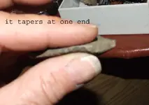 DSCF4211.webp