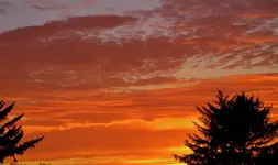 DSCN8806.webp