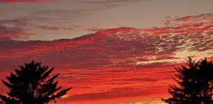 DSCN8843.webp