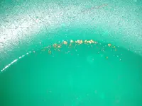 20150712_094121.webp 20150712_094121.webp