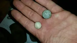 1436060067689.webp