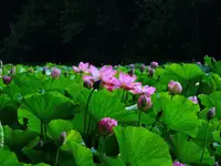 025.webp