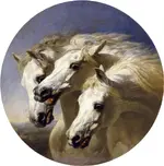 PharoahsHorses-HERRING-COLOR-SquaretoROUND_demo_zpsc5df34f0.webp