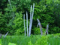011.webp
