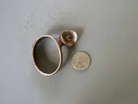 Bronze piece a.webp