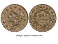 Sample Image.webp Sample Image.webp