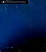 NS_1-3reefcrop1.webp