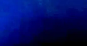 NS_1-3reefcrop1LG)+.webp