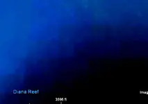 NS_1-3reefcrop1LG.webp