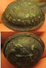 button detail.webp button detail.webp