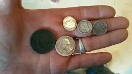1434579837529.webp