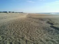 beach.webp
