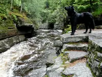 falls.webp