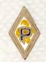 CM Robbins Pin (front).webp