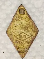 CM Robbins Pin (back).webp