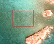 lado isla.webp