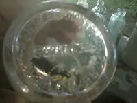 150720_012.webp