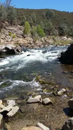 1438578118717.webp