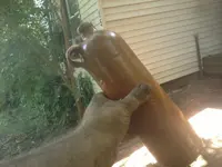 150720_006.webp